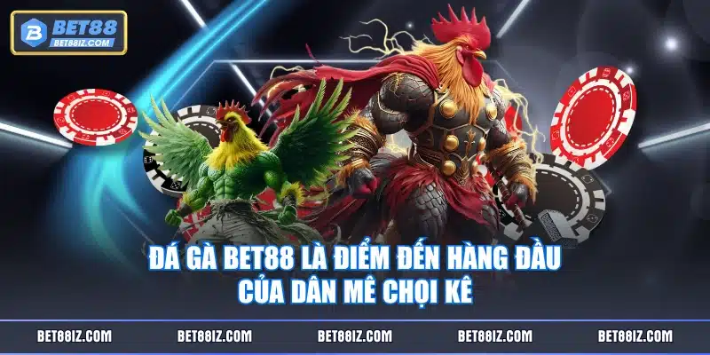 Đá Gà BET88 là điểm đến hàng đầu của dân mê chọi kê
