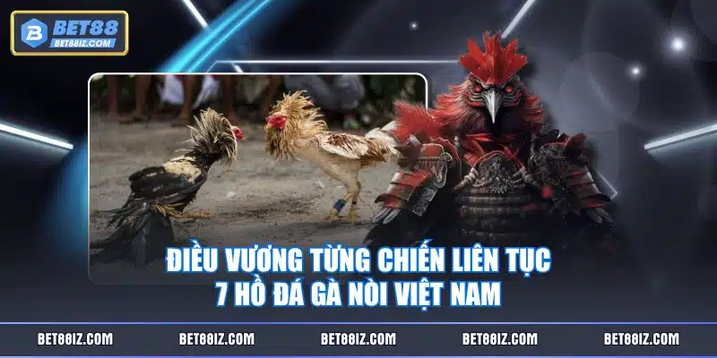 Điều Vương từng chiến liên tục 7 hồ đá gà nòi Việt Nam