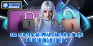 SSL 256-bit