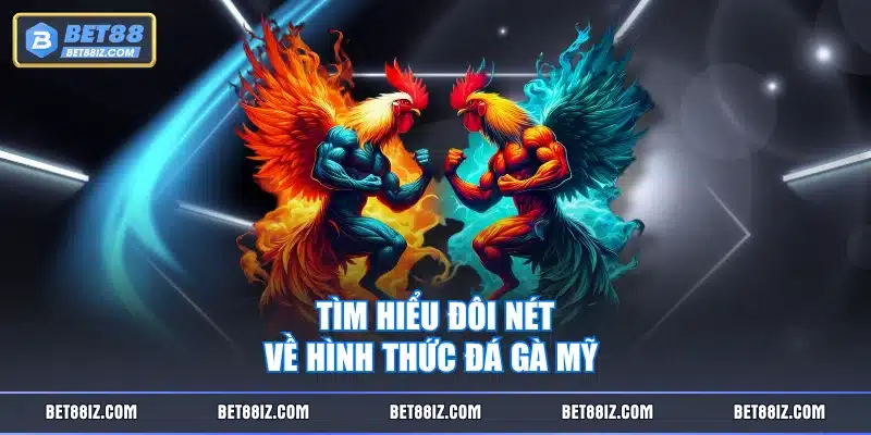 Tìm hiểu đôi nét về hình thức đá gà Mỹ 